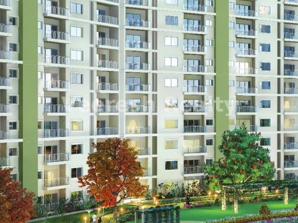 L& T Raintree Boulevard